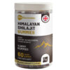 Himalayan Shilajit Gummies 3000mg with KSM-66 Ashwagandha, Vitamin B6 & B12 – 60 Vegan Gummies – Energy & Vitality Support for Men & Women – Blackcurrant Flavour – Prowise