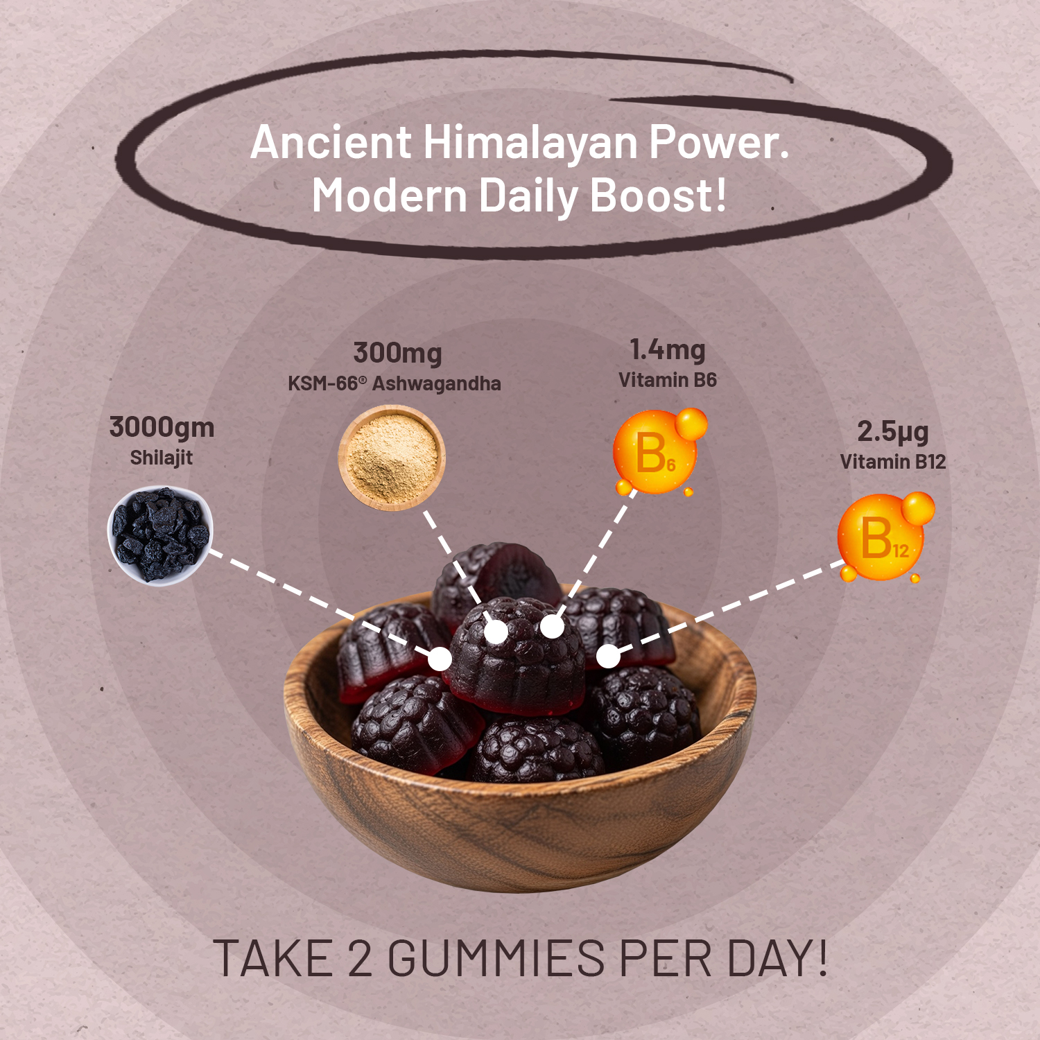 Himalayan Shilajit Gummies 3000mg with KSM-66 Ashwagandha, Vitamin B6 & B12 – 60 Vegan Gummies – Energy & Vitality Support for Men & Women – Blackcurrant Flavour – Prowise - Image 5